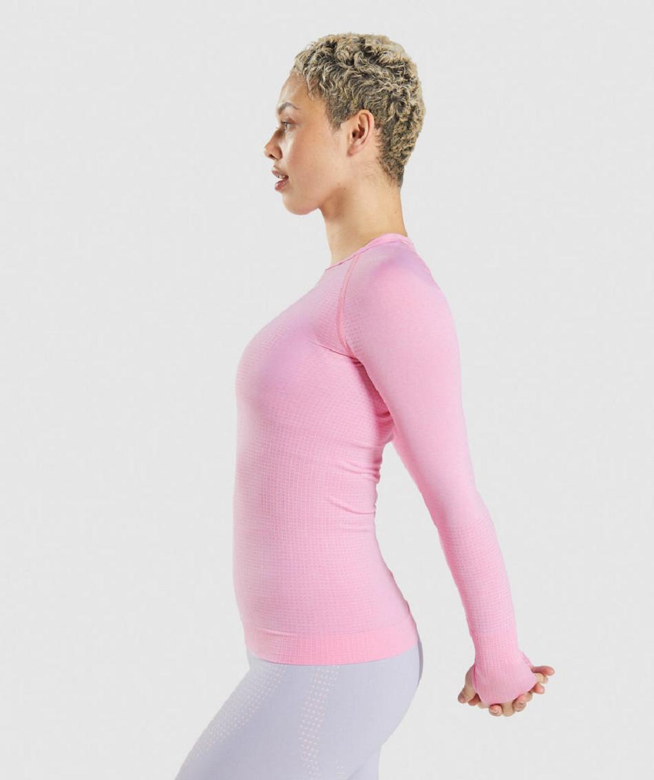 Long Sleeve Gymshark Vital Seamless 2.0 Mujer Rosas | CO 2283EBC